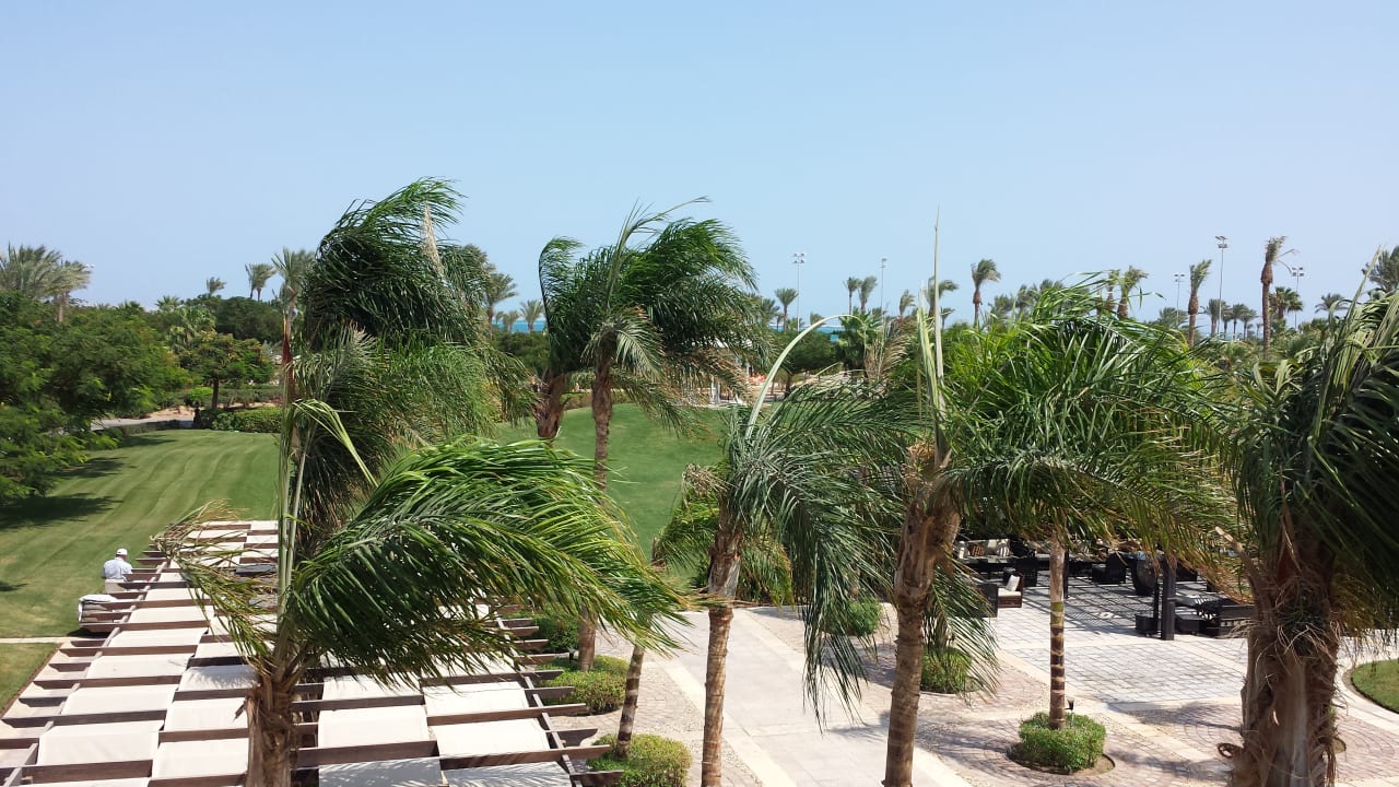 Gartenanlage Steigenberger ALDAU Beach Hotel