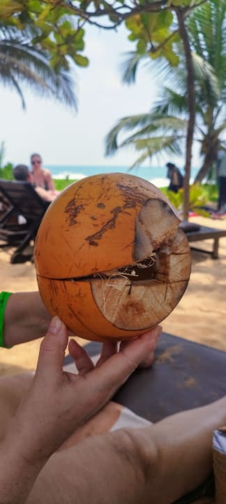 Sonstiges Pandanus Beach Resort & Spa