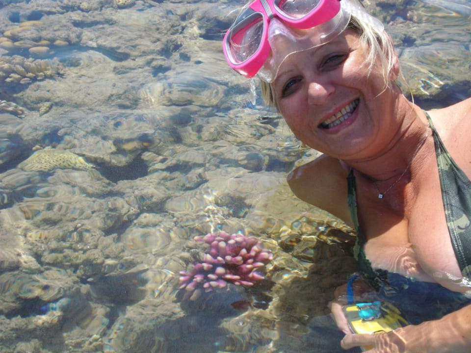 Mare di fronte all'hotel Fort Arabesque Resort, Spa & Villas