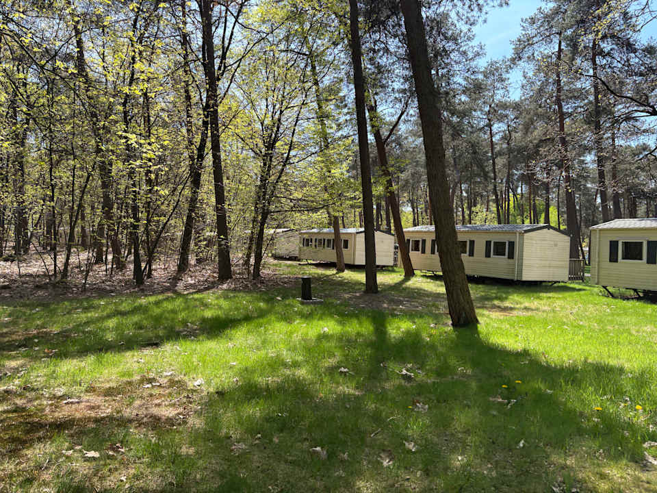 Gartenanlage Oostappen Vakantiepark Arnhem