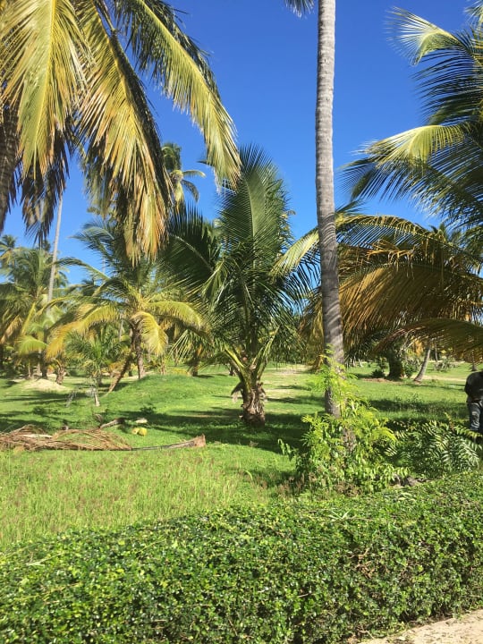 Garten Villas Bavaro Resort & Spa