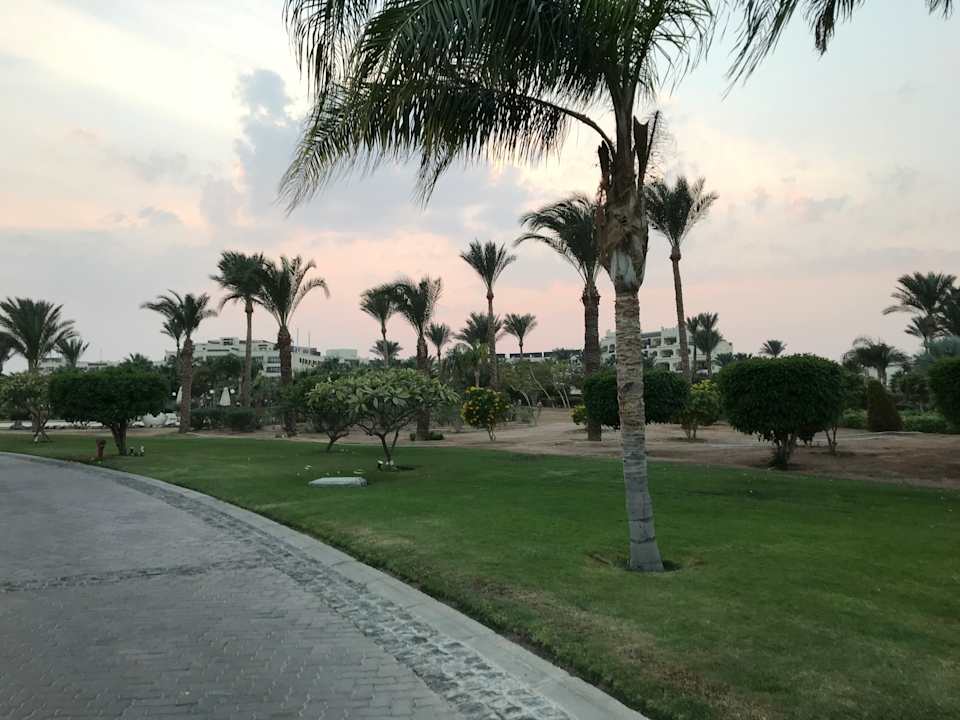Gartenanlage Steigenberger ALDAU Beach Hotel