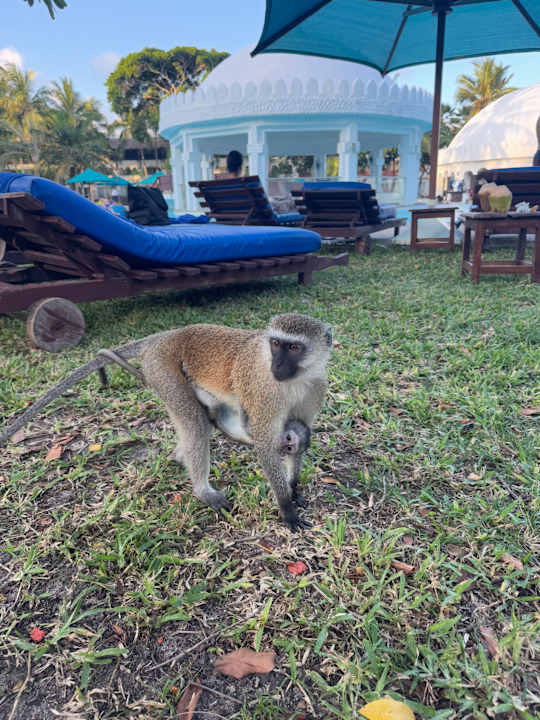 Sonstiges Hotel Southern Palms Beach Resort