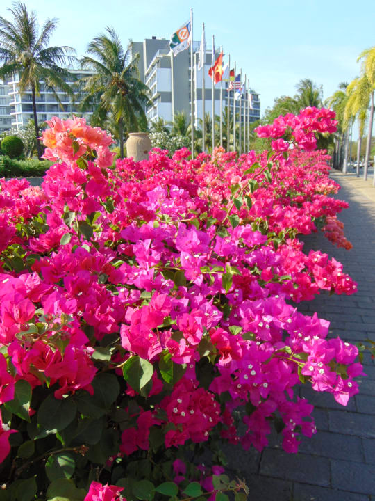 Gartenanlage Novotel Phu Quoc Resort