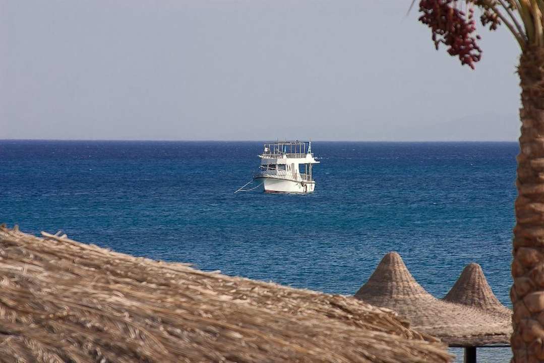 Blick aufs Meer JAZ Dahabeya