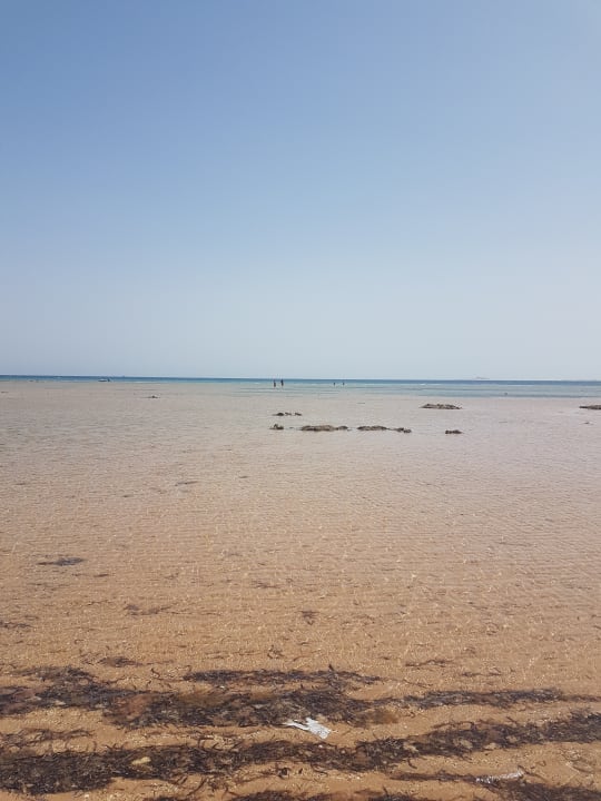 Strand Shams Prestige Abu Soma-Adults Only