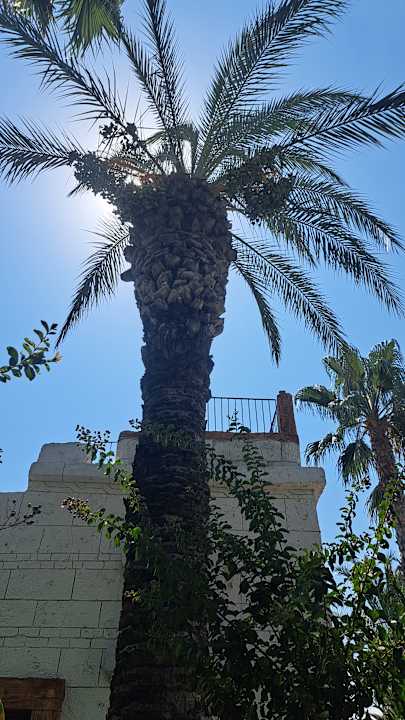 Gartenanlage Belek Beach Resort Hotel