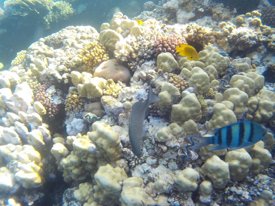 Strand Rohanou Beach Resort