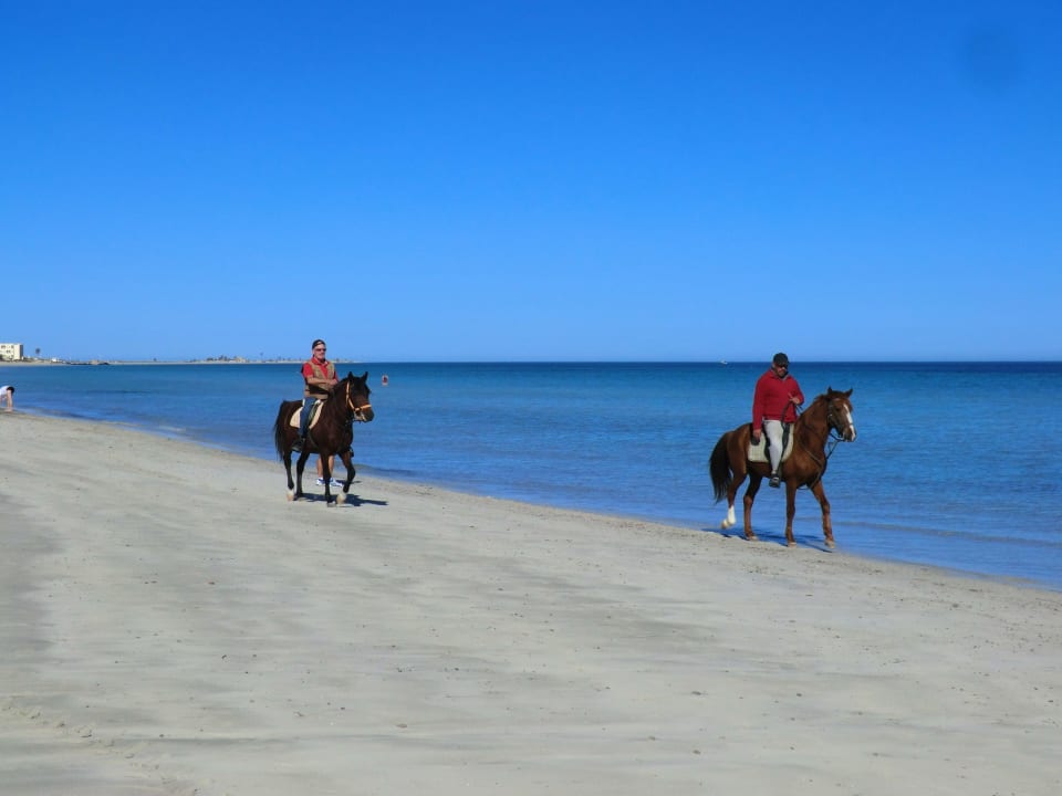 Private Anbieter am hoteleigenen Strandabschnitt Djerba Sun Beach Hotel & Spa