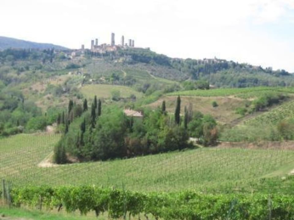 Pro: Blick auf San Gimignano vom Pool Agriturismo Il Poderino La Fidanza