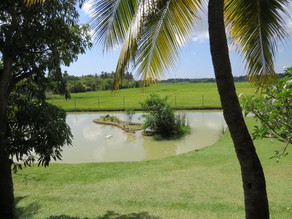 Blick vom Balkon auf den Garten Kithala Resort