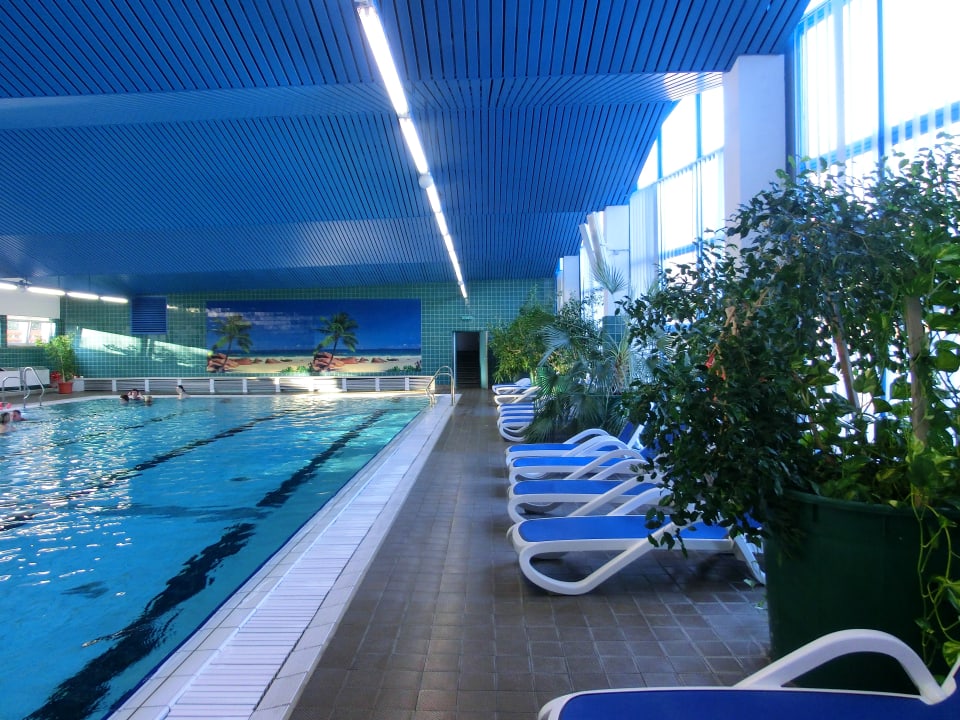Pool AHORN Berghotel Friedrichroda
