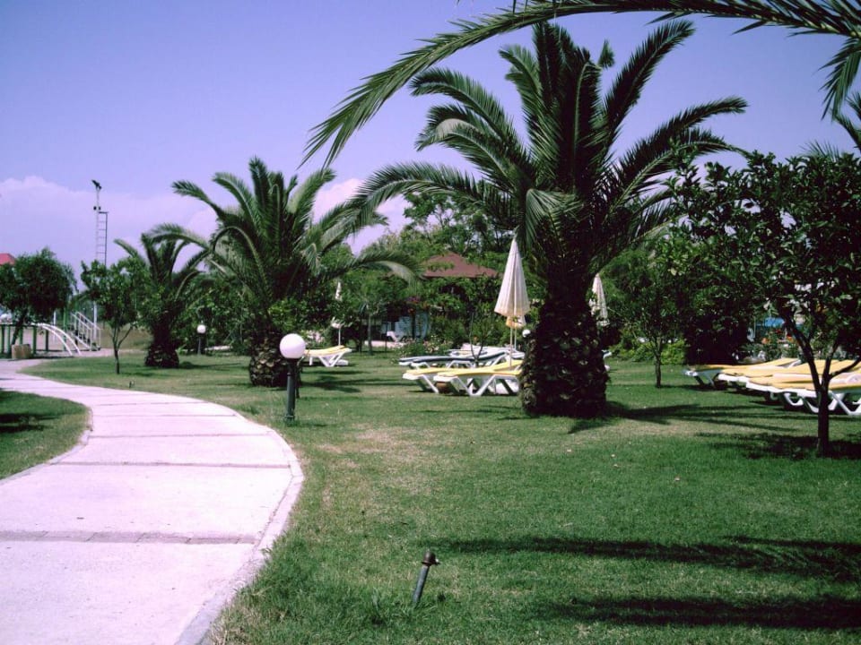 Palmengarten Justiniano Park Conti
