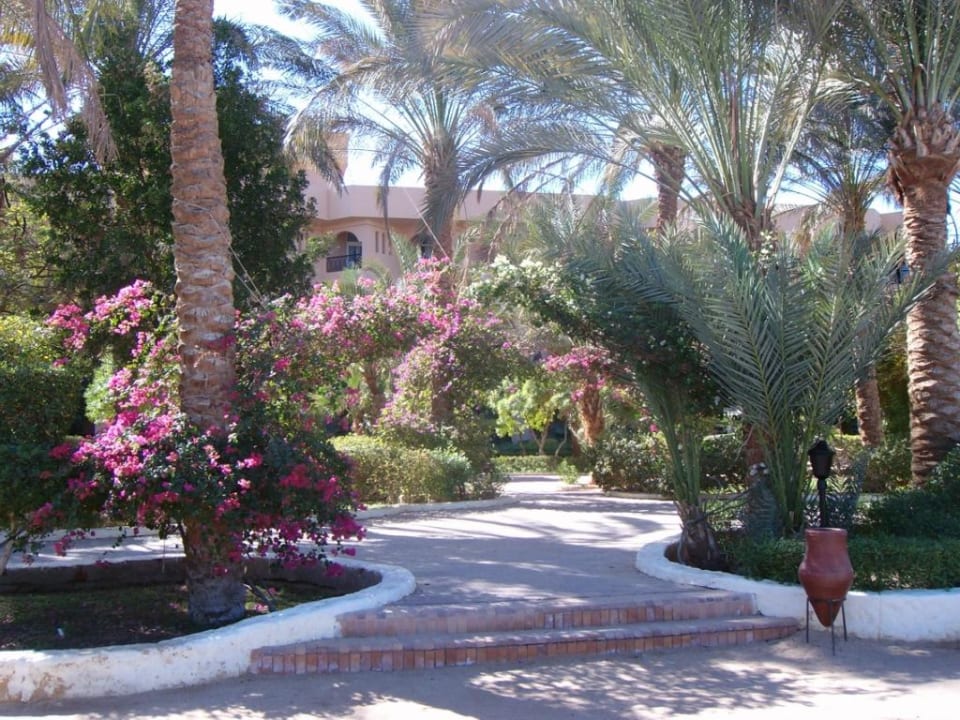 Anlage Giftun Azur Resort