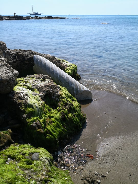 Strand Can Garden Beach