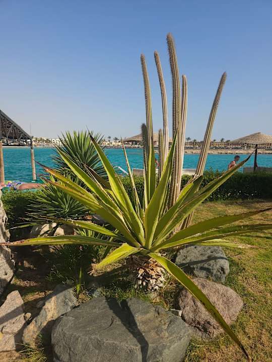 Außenansicht Arabella Azur Resort