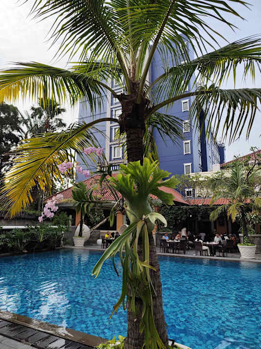 Pool Hotel Ibis Solo