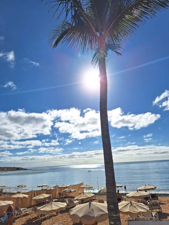 Ausblick allsun App.-Hotel Barlovento