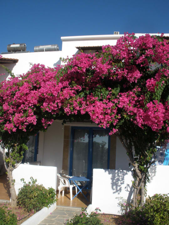Terrasse Hotel Lindos Sun