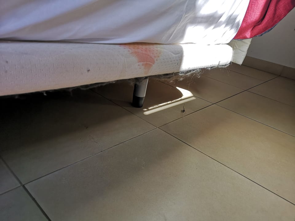 Zimmer HL Miraflor Suites Hotel