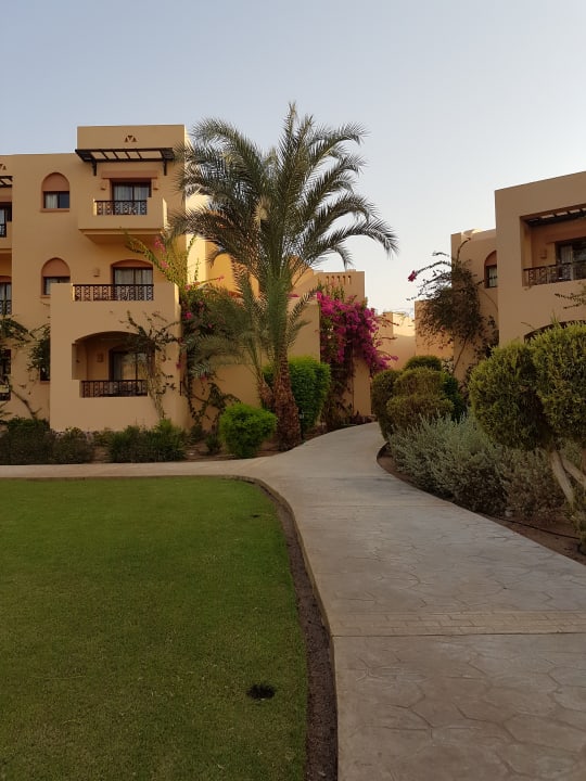 Gartenanlage Steigenberger Coraya Beach - Adults only