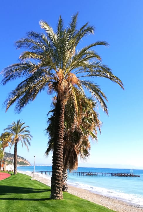 Strand TUI MAGIC LIFE Beldibi +16