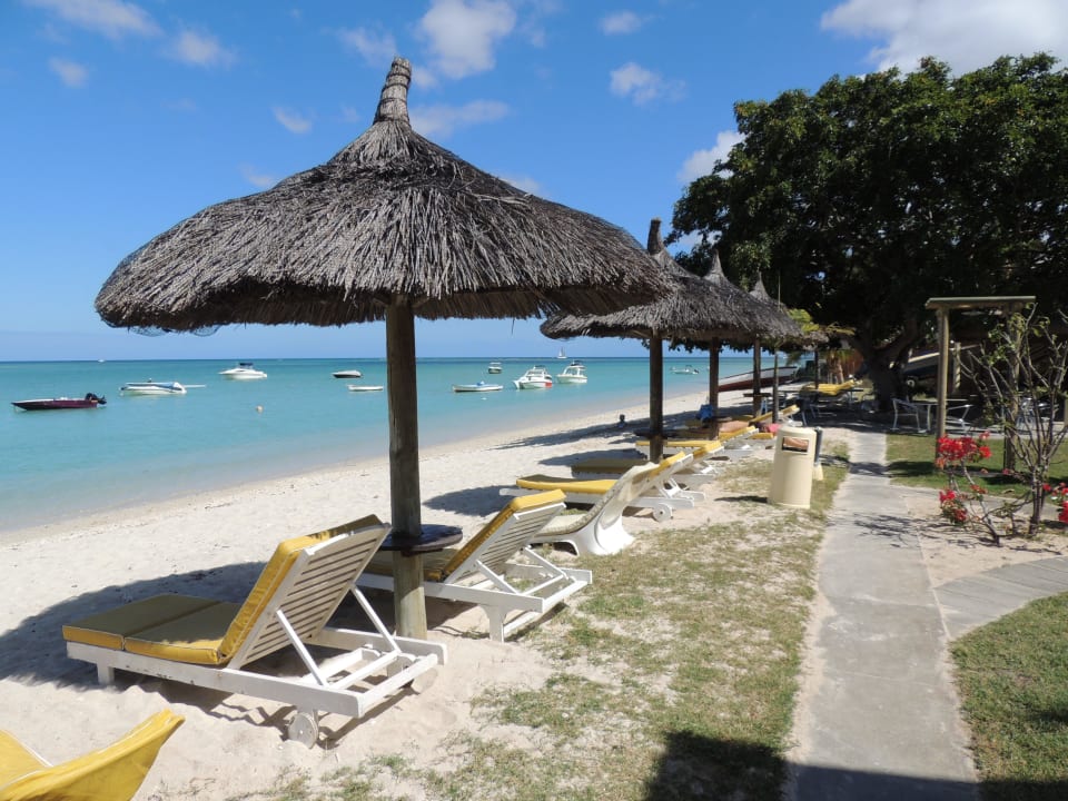 Blick auf die Sonnenliegen vor dem La Mariposa Hotel La Mariposa