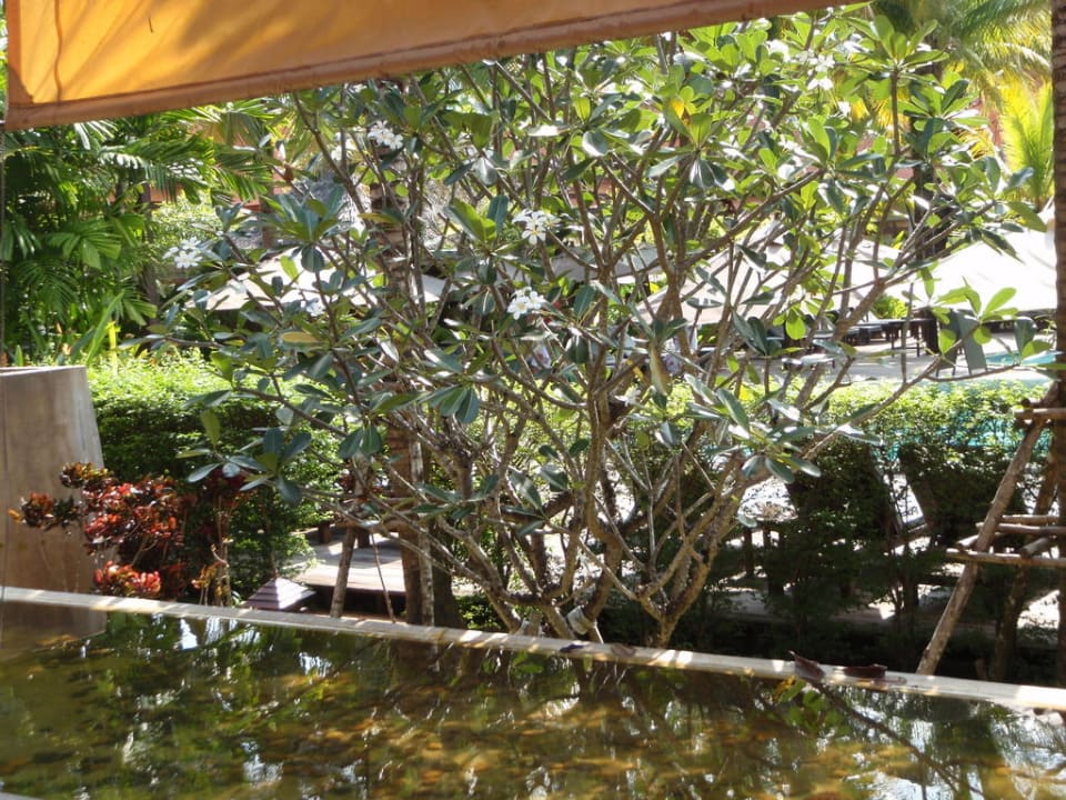 Frühstücksrestaurant Khao Lak Bhandari Resort & Spa