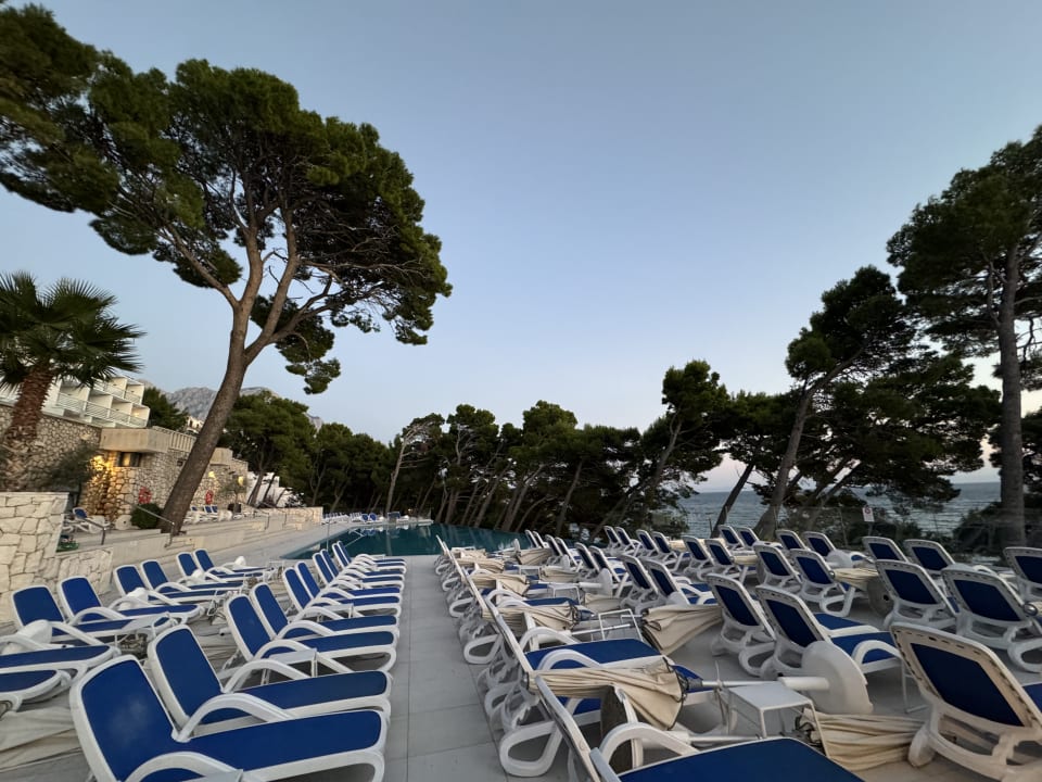 Pool Bluesun Hotel Berulia
