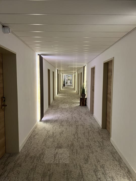 Sonstiges Trihotel Rostock