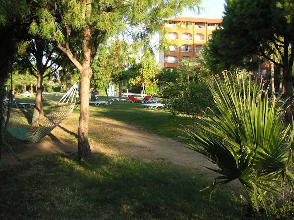 Impressionen Club Turtas Beach Hotel