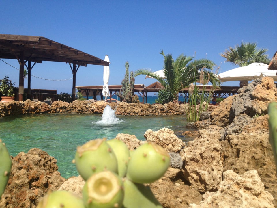 Neben der Strandbar Cactus Beach