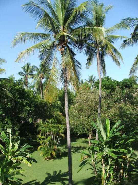 Blick vom Balkon in den wunderschönen Garten Paradisus by Melia Bali