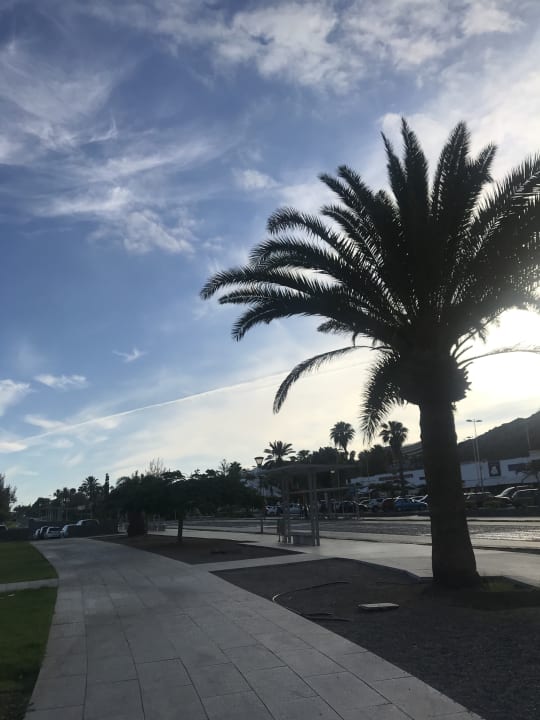 Außenansicht Bull Costa Canaria & Spa - Adults only