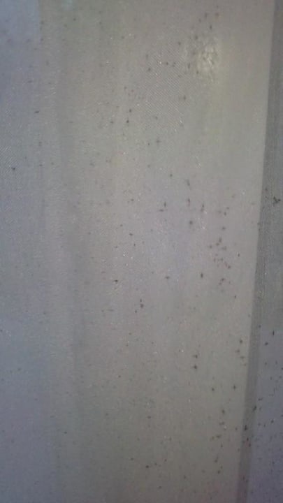 Schimmel am Vorhang Hotel Riu Palace Punta Cana