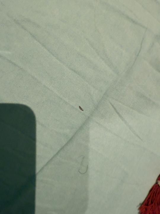 Zimmer Apartment Short Stay Hellingweg