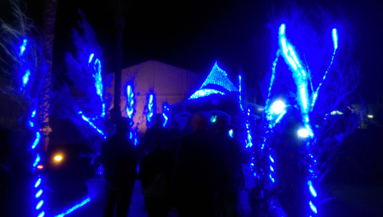 Eingang Festzelt  Beach Albatros Resort