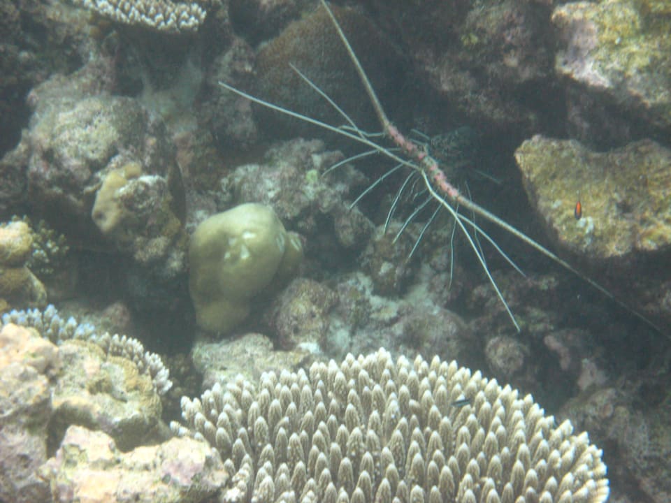 Sport & Freizeit Embudu Village