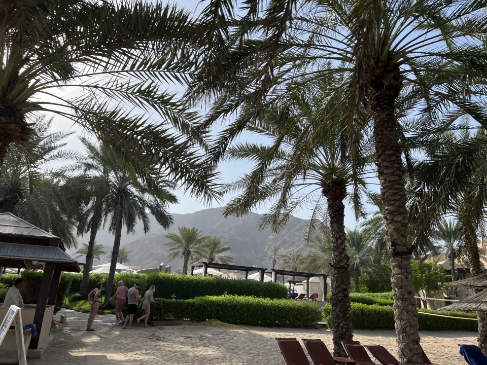 Gartenanlage Miramar Al Aqah Beach Resort