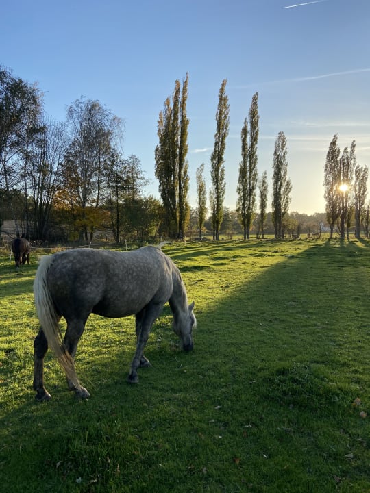 Sonstiges Bauernhof Strehlaer