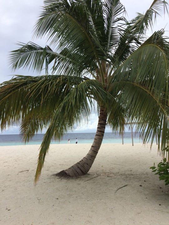 Strand NH Collection Maldives Havodda Resort