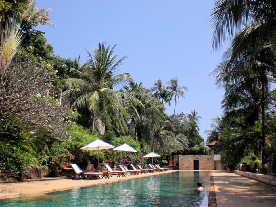 Pool vor den Deluxegebäuden Renaissance Koh Samui Resort & Spa