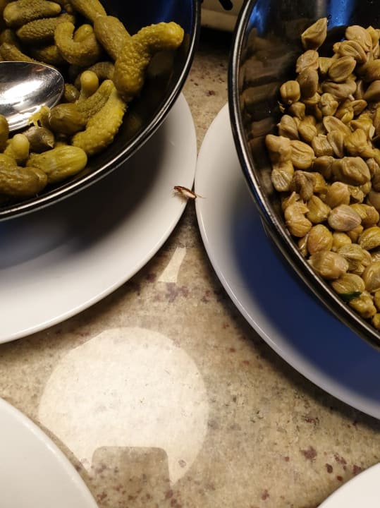 Gastro TUI MAGIC LIFE Fuerteventura