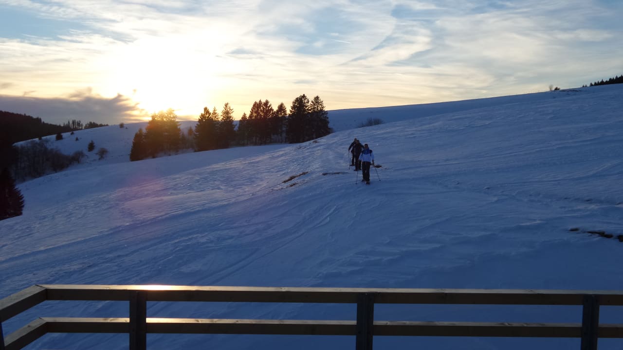 Ausblick vom Balkon derWaldfrieden naturparkhotel