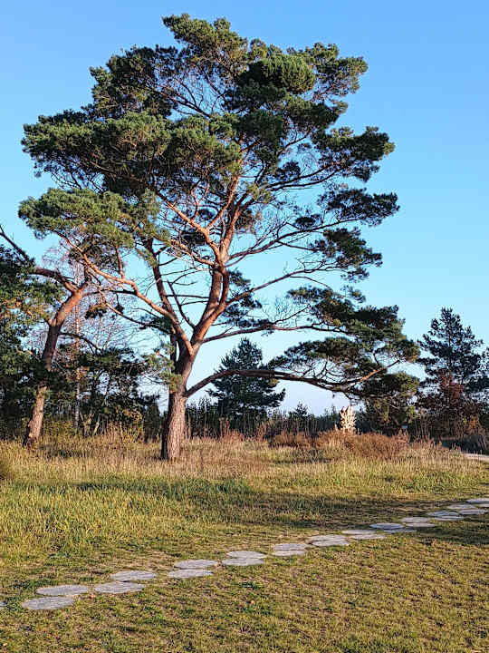 Strand Santé Royale Rügen Resort