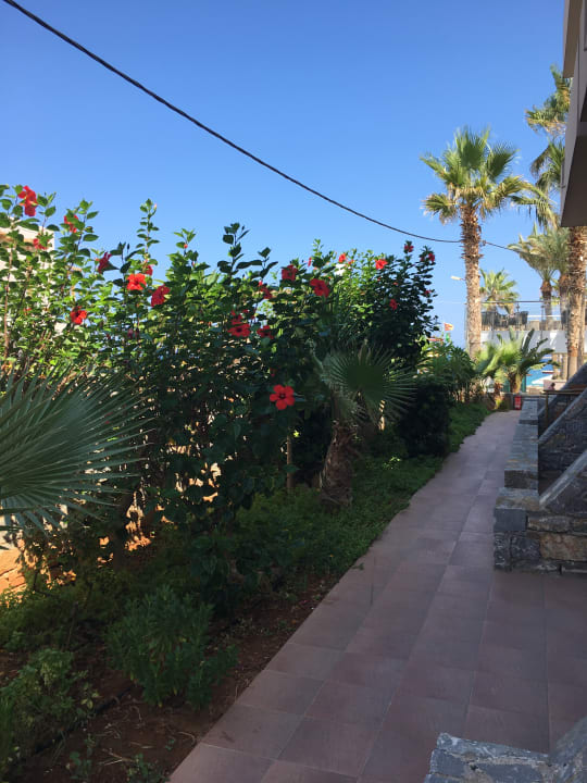 Gartenanlage High Beach Resort