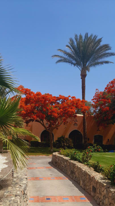 Außenansicht Jaz Makadi Oasis Resort