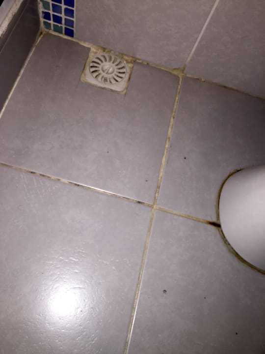 SCHIMMEL Hotel Diva's