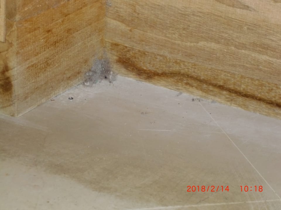 Zimmer The Orangers Beach Resort and Bungalows