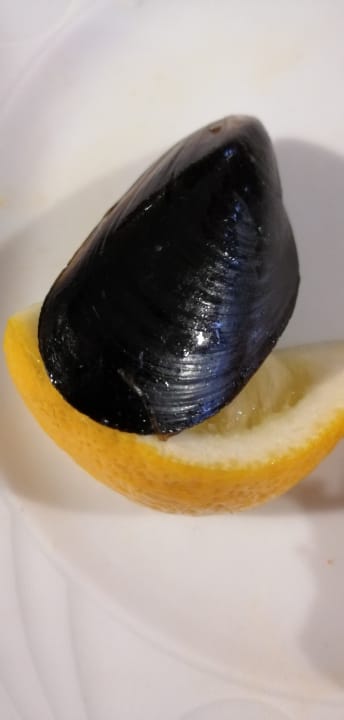 Gastro Hotel Orfeus Park